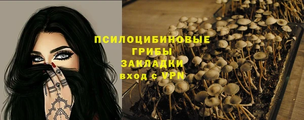 гидра Осташков
