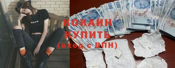 амф Осинники